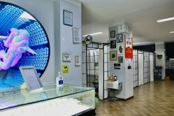 -众刺纹画·纹身·穿孔饰品·海娜定制