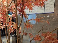 -三谷里·生态水疗空间(五一店)