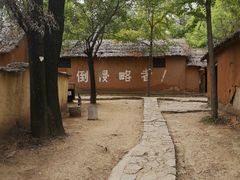 -微山湖红荷湿地景区