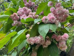 -白塘生态植物园