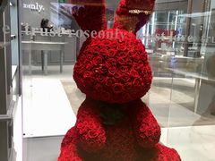-ROSEONLY诺誓(广州K11店)