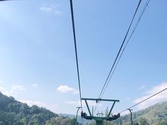 -野象谷景区