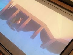-东方之珠洗浴休闲广场(南开店)
