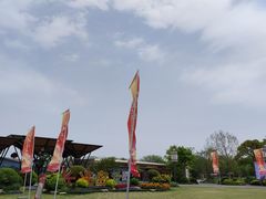 -上海长兴岛郊野公园