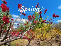 -大兴滨河森林公园