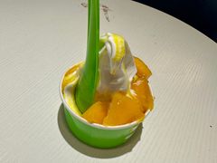 -Salud撒露欧洲冻酸奶(798艺术区店)