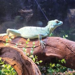 -Zoolung Zoolung动物主题公园(海信广场店)