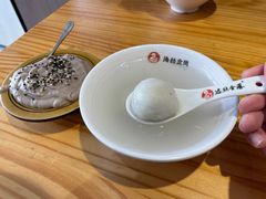 -海丝金凤(金鱼店)