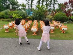 -上海长兴岛郊野公园