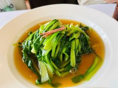 -圆苑(金茂店)