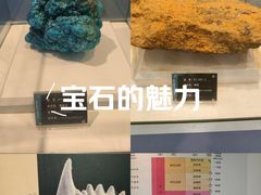 -金钉子远古世界景区