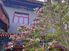 -天津大悲禅院