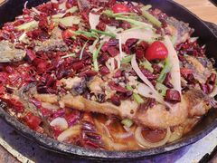 -老板恋上鱼(环山路店)