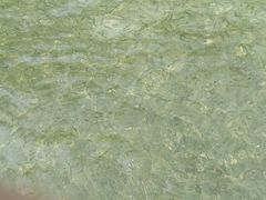 -东姑阿都拉曼海洋公园
