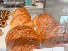 -Madeleine玛德琳(永平里店)
