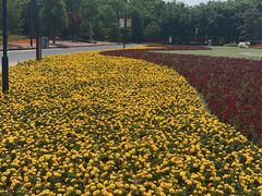 -狼山风景名胜区