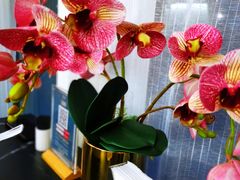 -楚禾宴·家宴(光谷大道店)