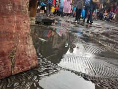 -一杯黔茶(西江千户苗寨古街店)