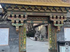 -护国法轮寺