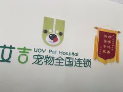 -艾吉宠物医院·疑难杂症转诊中心·猫友好(碧江路院)