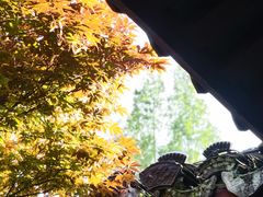 -杭州黄龙洞