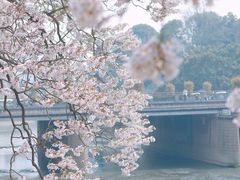 -红星桥(地铁站)