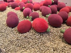 -M1咖啡奇幻工场(海田路店)