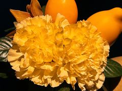 -丽晶轩中餐厅(重庆丽晶酒店)