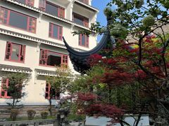 -苏州吴宫泛太平洋酒店