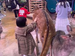 -正佳雨林生态植物园