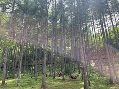 -狮子沟牧场
