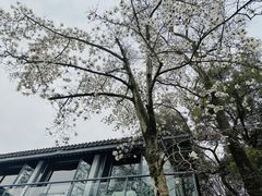 -杭州植物园