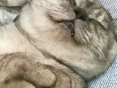 -浮漫咖啡(镜湖万达广场店)