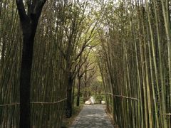 -唐城墙遗址公园