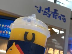 -春丽小马(济南恒隆广场店)