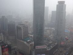 金陵饭店-南京金陵饭店