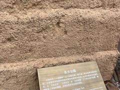 -西侯度遗址