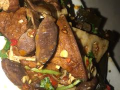 -CLUB VIVA(购物公园店)