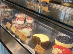 -Wagas沃歌斯(汇智店)