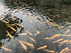 -丽江玉水寨