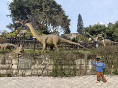 -自贡恐龙博物馆