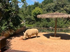 -泉州海丝野生动物世界