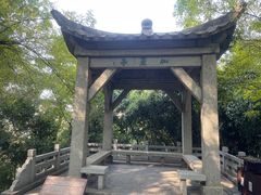 -黄鹤楼