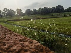 -广东中医药博物馆