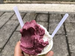 -柠檬车露(卖草地店)