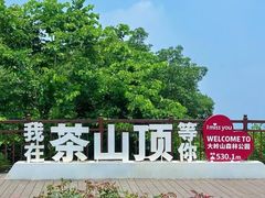 -东莞市大岭山森林公园