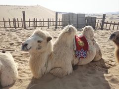 -达拉特旗响沙湾旅游区