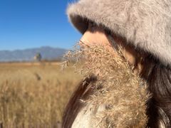 -野鸭湖国家湿地公园