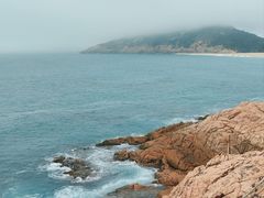 -广东惠东海龟国家级自然保护区