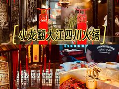 -小龙翻大江文化火锅(宽窄店)